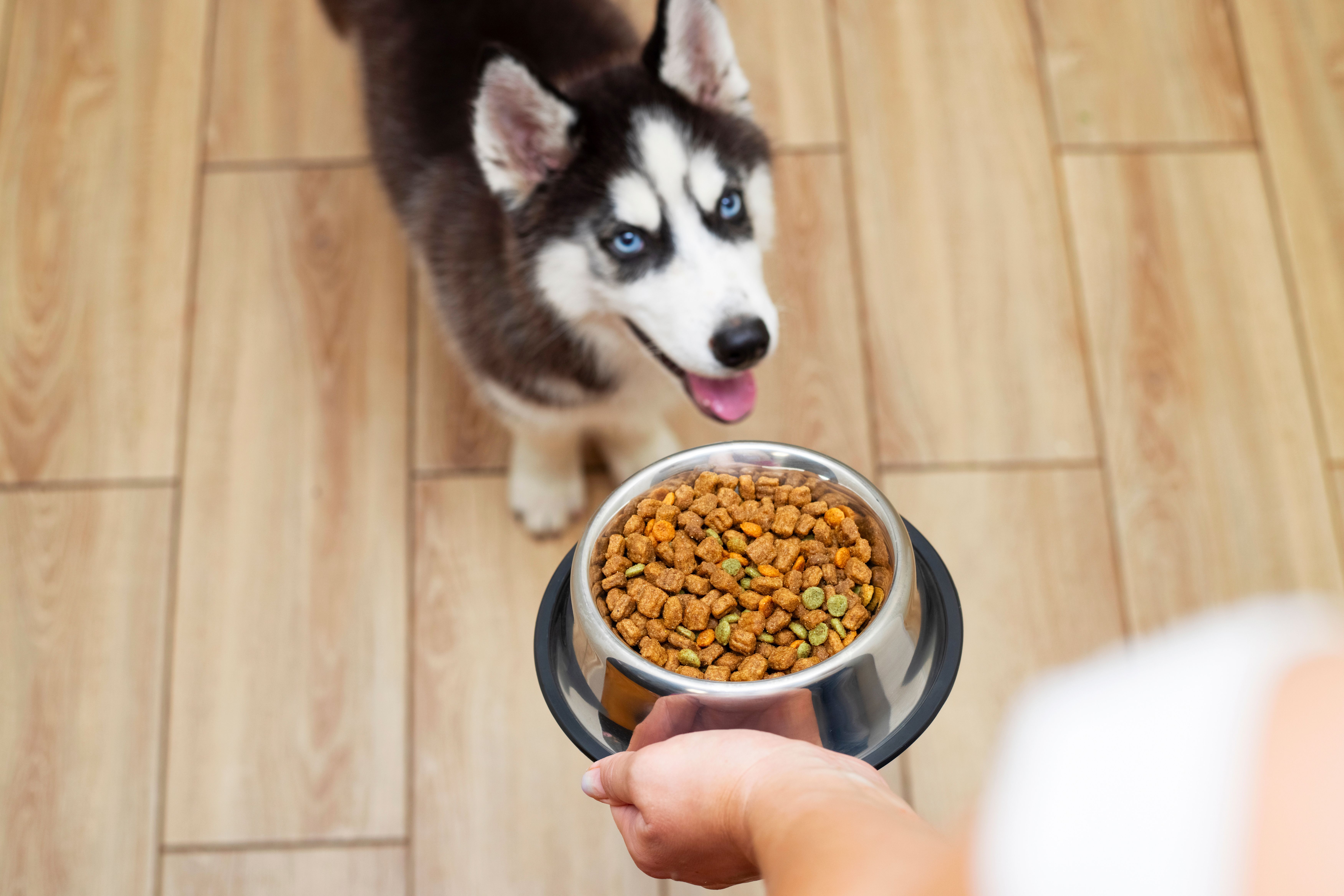 Hill’s Pet Nutrition teams up with Critter Fixers to support fight against pet obesity Hill’s Pet Nutrition teams up with Critter Fixers to support fight against pet obesity