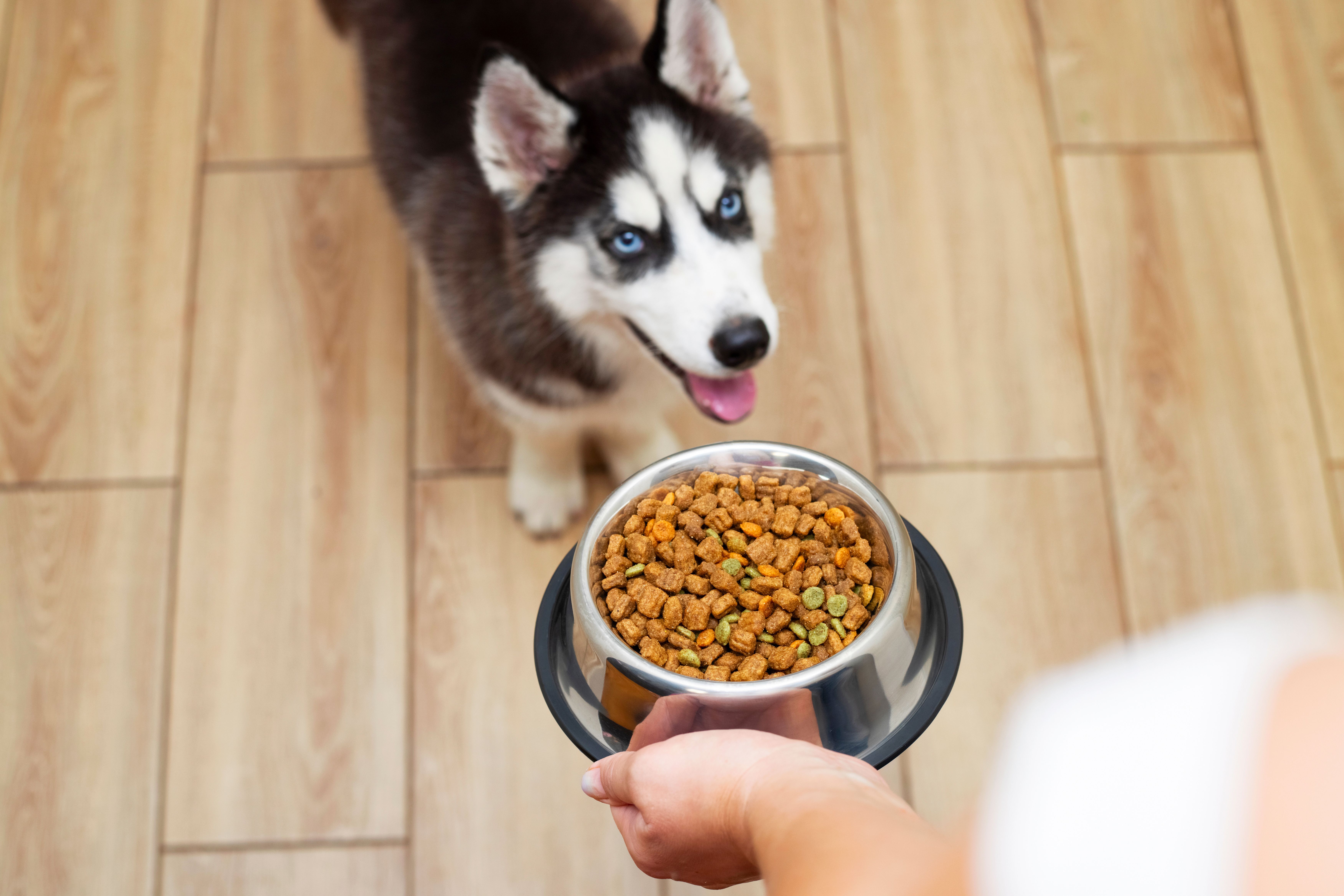 Hill’s Pet Nutrition teams up with Critter Fixers to support fight against pet obesity