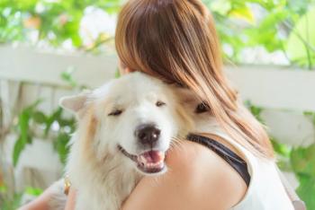 Dog and owner