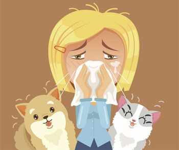 veterinary-allergic-to-domestic-anmals-450px-shutterstock-507196783.jpg