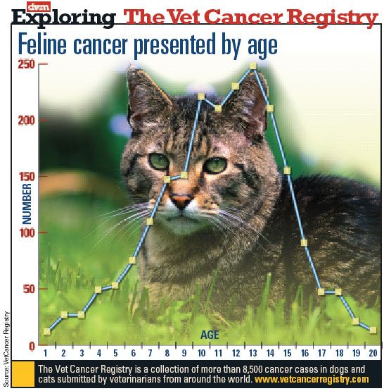 Feline cancer presented by age