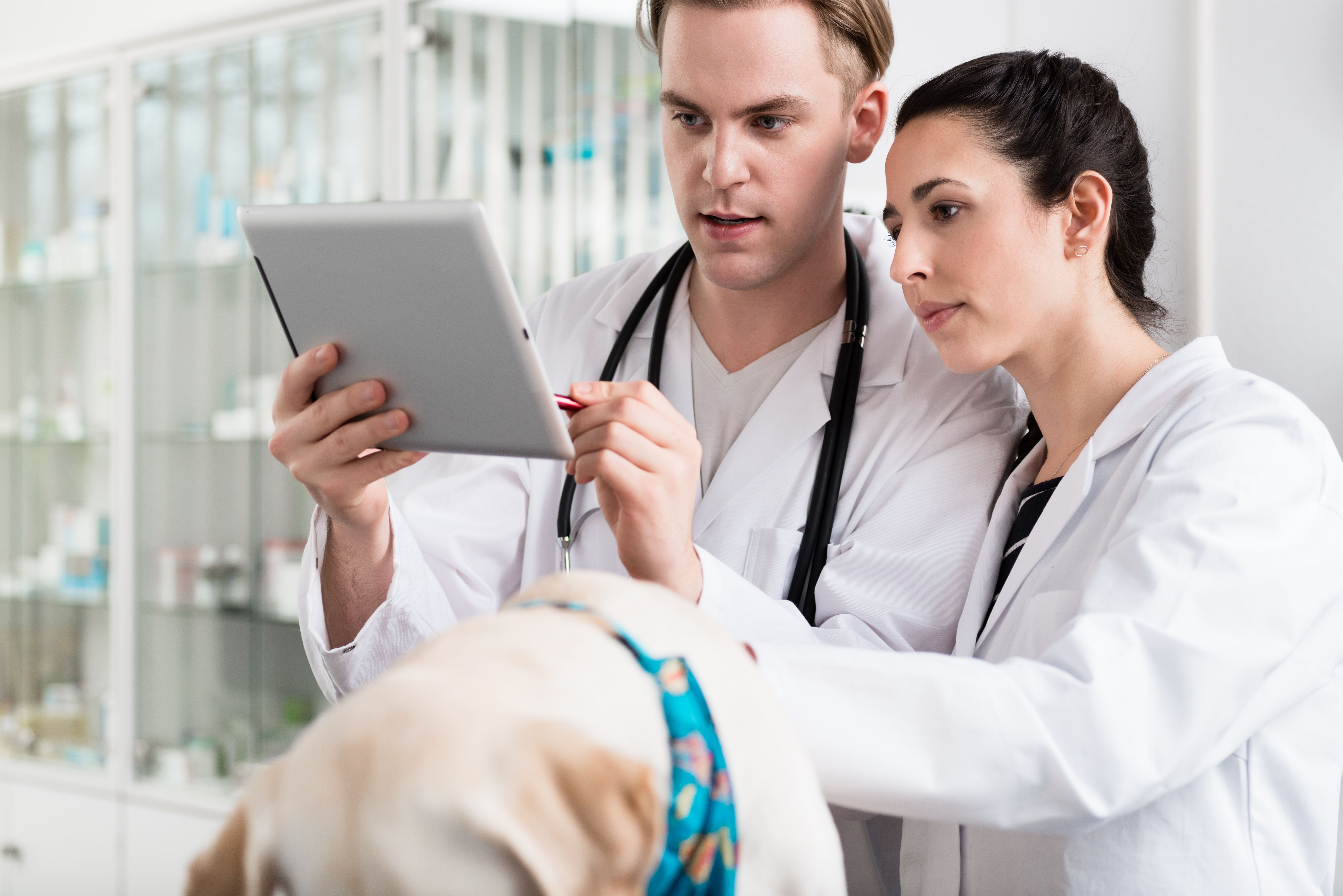2 Compelling ways to enhance telemedicine at your practice