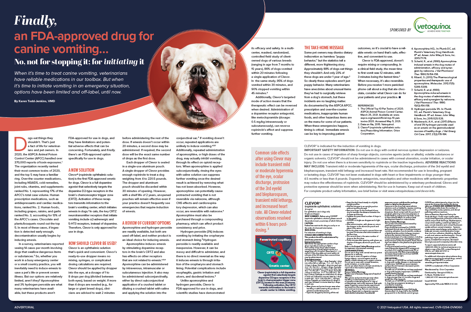Dog anti top vomiting medications