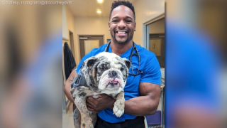 Passion, education, and innovation with Dr Courtney Campbell