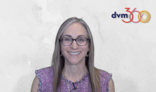 3 categories of inappetence in dogs