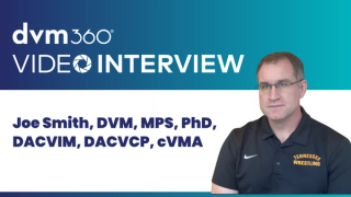 Applying the principles of intravenous drug delivery