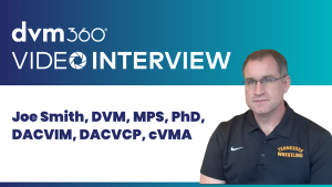 Applying the principles of intravenous drug delivery