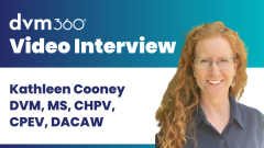 Emerging ethical issues in euthanasia