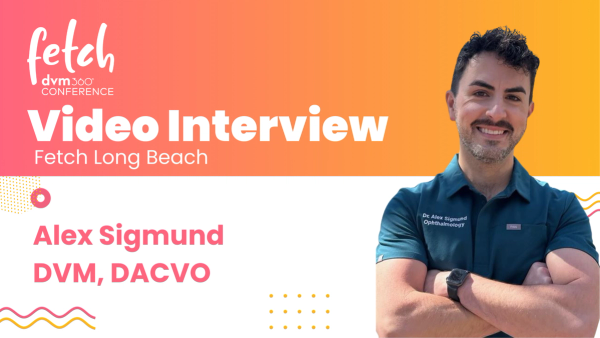 Practical ophthalmology for senior pets