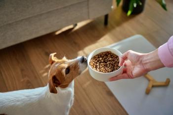SNAP-P: If rotisserie chicken, why not pet food?
