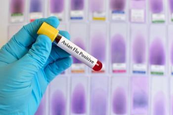 Positive avian flu