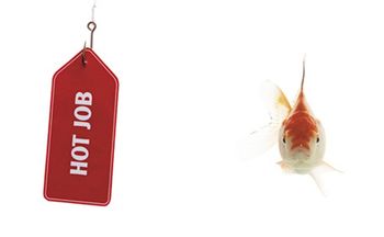 veterinary-Job-Search-Fraud-Exposed_460px X 284px_flash_175450331.jpg