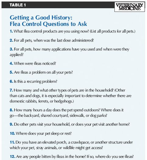 How You And Your Clients Can Win The Flea Control Battle Dvm 360