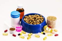 Why ingredients for pet food supplements should be studied