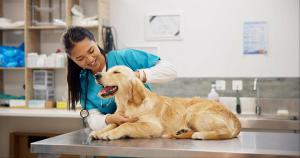 The case for year-round heartworm prevention and how to talk with clients about affordable options