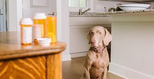 SSRI/SNRI toxicity: what you need to know