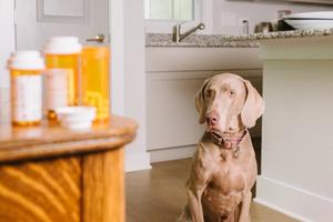 SSRI/SNRI toxicity: what you need to know