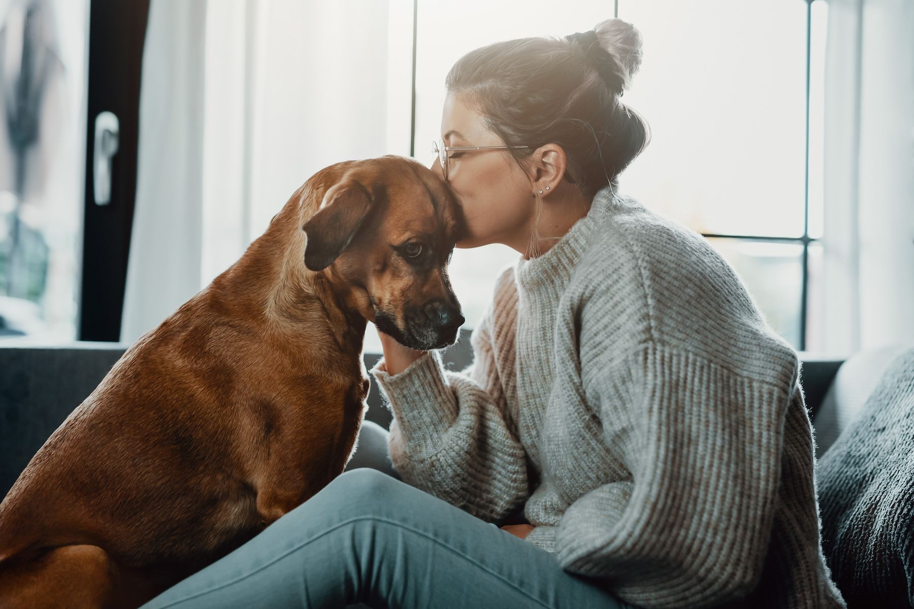 Woman with sick dog