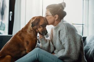 Guiding pet owners through the cancer journey: The general practitioner’s role