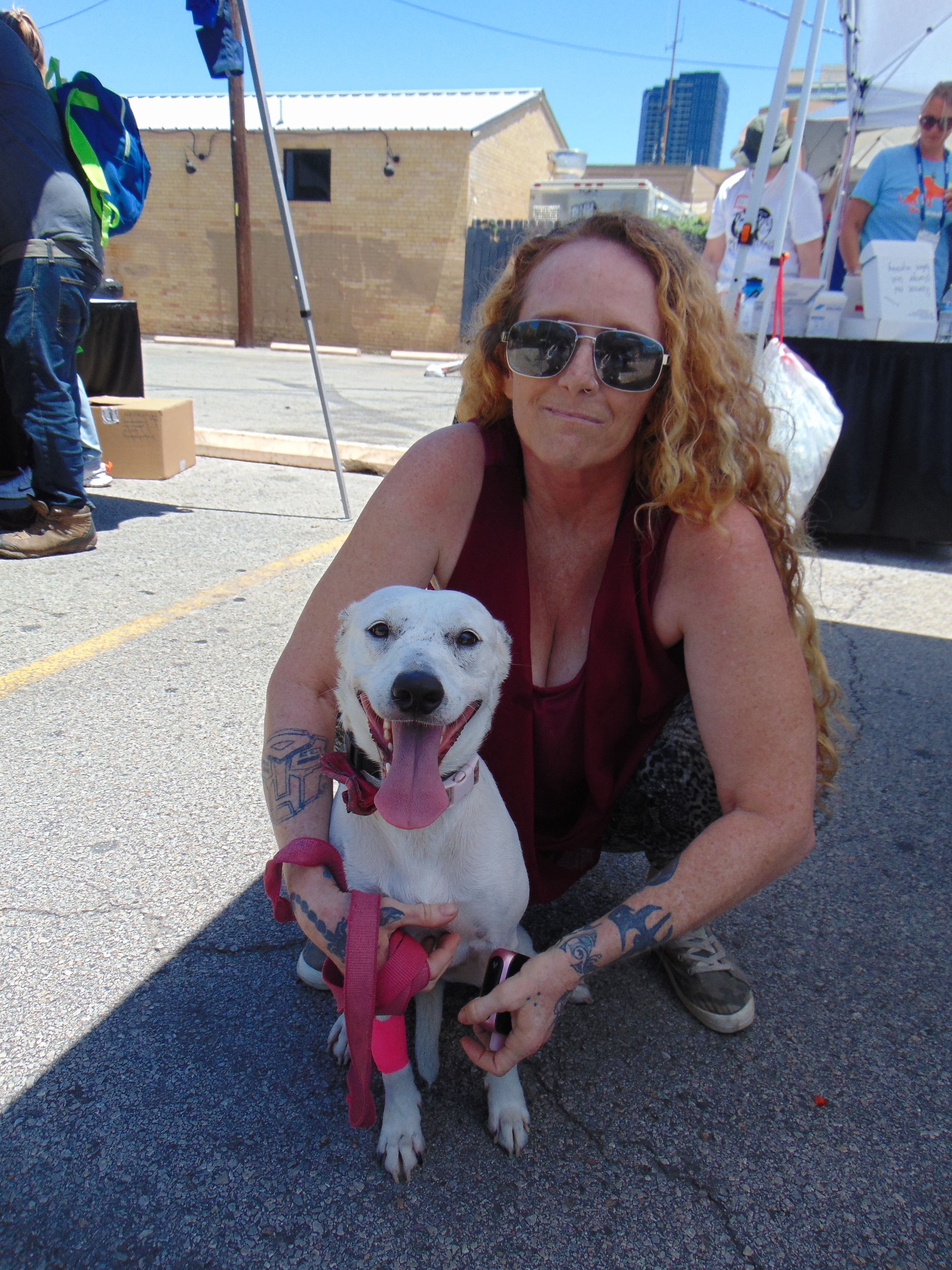 Veterinary Clinic at AVMA 2024