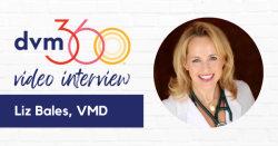 Feline Grimace Scale best practices for evaluating pain