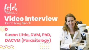 Prevent tick-borne disease with time-sensitive interventions