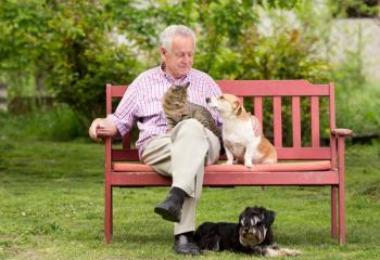Pets may help older adults who live alone stay active and connected, survey finds