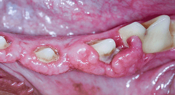 veterinary-bellows-p-2a-450.gif