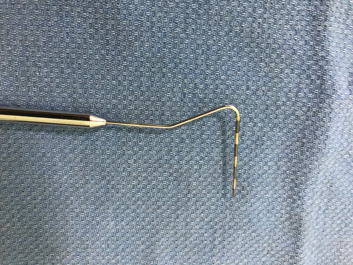 Periodontal disease in horses What causes it—and how to fix it