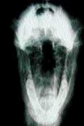 image1-31508-1384864143486.jpg