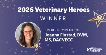 Meet the 2026 Veterinary Heroes: Joanna Finstad, DVM, MS, DACVECC