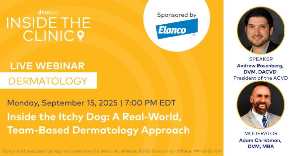 Inside the clinic Inside the Itchy