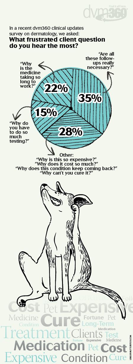 veterinary-data-derm-231802183-450-scroll.jpg