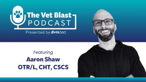 Beyond band-aid wellness: A systems approach to veterinary burnout