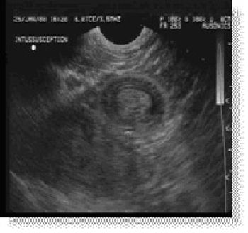 i4-587784-1384516318555.jpg