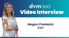 Veterinary technician shortage