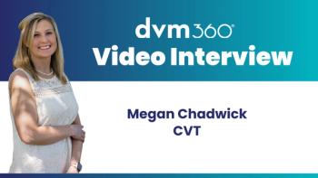 Veterinary technician shortage