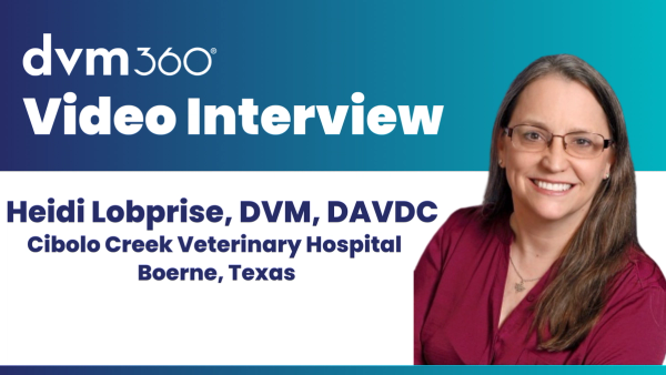 Preventing periodontal disease in dogs