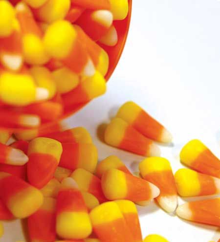 6 Halloween dangers for pets 6 Halloween dangers for pets