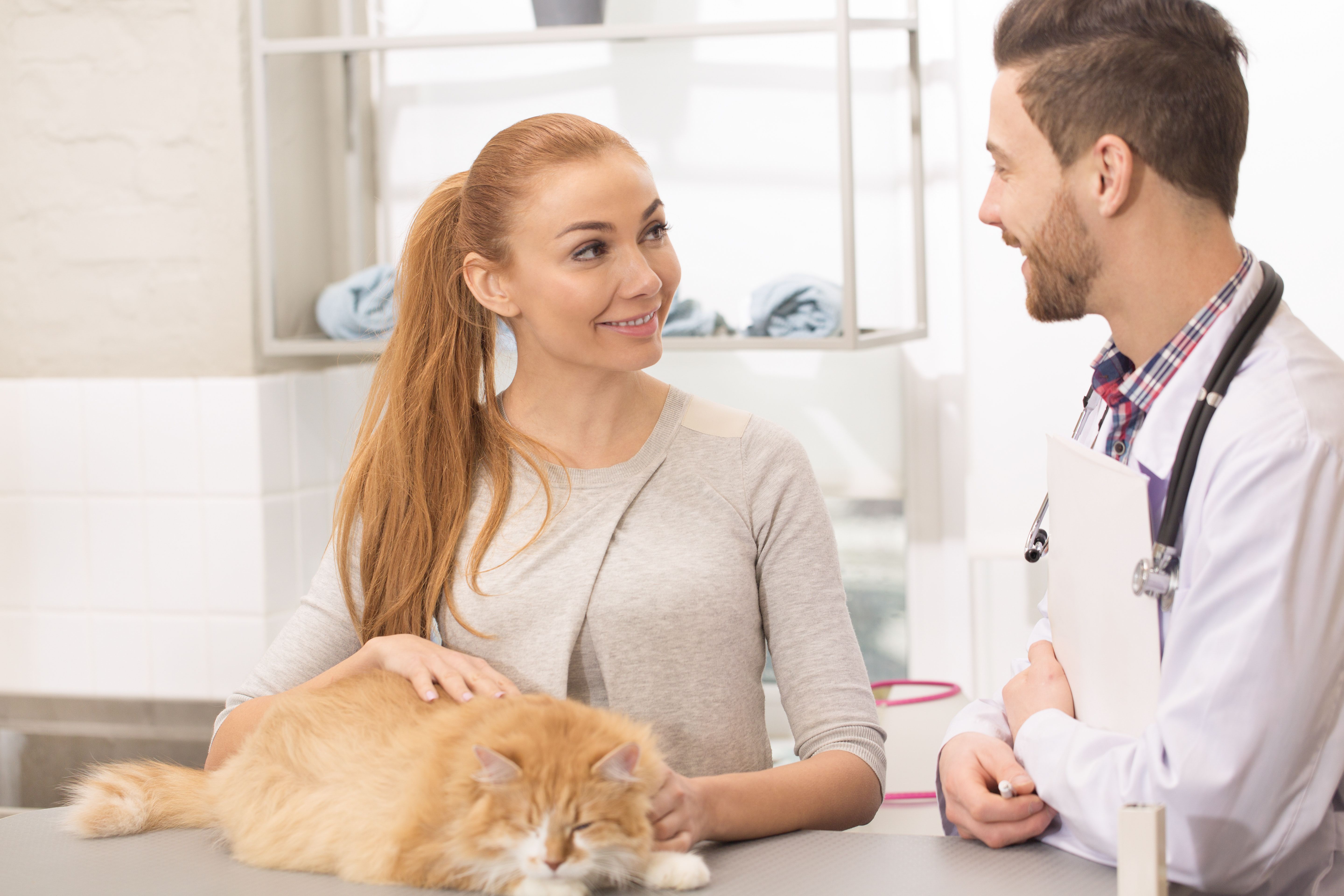 Exploring Alternative Cancer Treatments Exploring Alternative Cancer Treatments