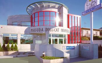 veterinary_masuda-765467-1384168097153.jpg