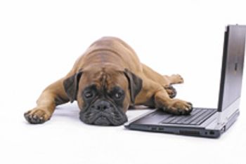 Veterinary-Working-dog_220px_471097923.jpg
