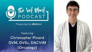 AI literacy for veterinarians: Why staying informed matters