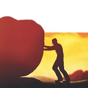 Owning It: The Power of Admitting Your Mistakes 