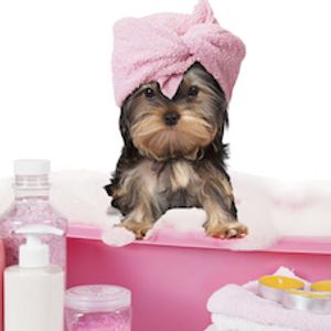 Making Room in Your Practice for Boutique Services