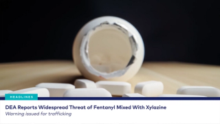 dvm360 Live! with Dr. Adam Christman