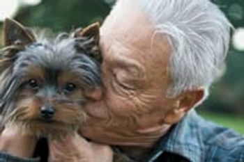 veterinary_transmission-638783-1384412070102.jpg