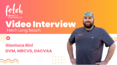 Why PCV isn’t the first indicator of blood loss — and better signs to watch for