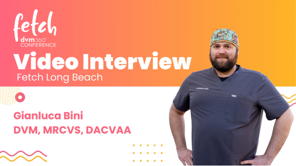 Why PCV isn’t the first indicator of blood loss — and better signs to watch for