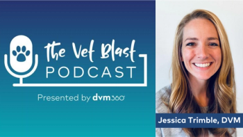 Peace of mind medicine: The importance of telehealth and virtual care in veterinary medicine